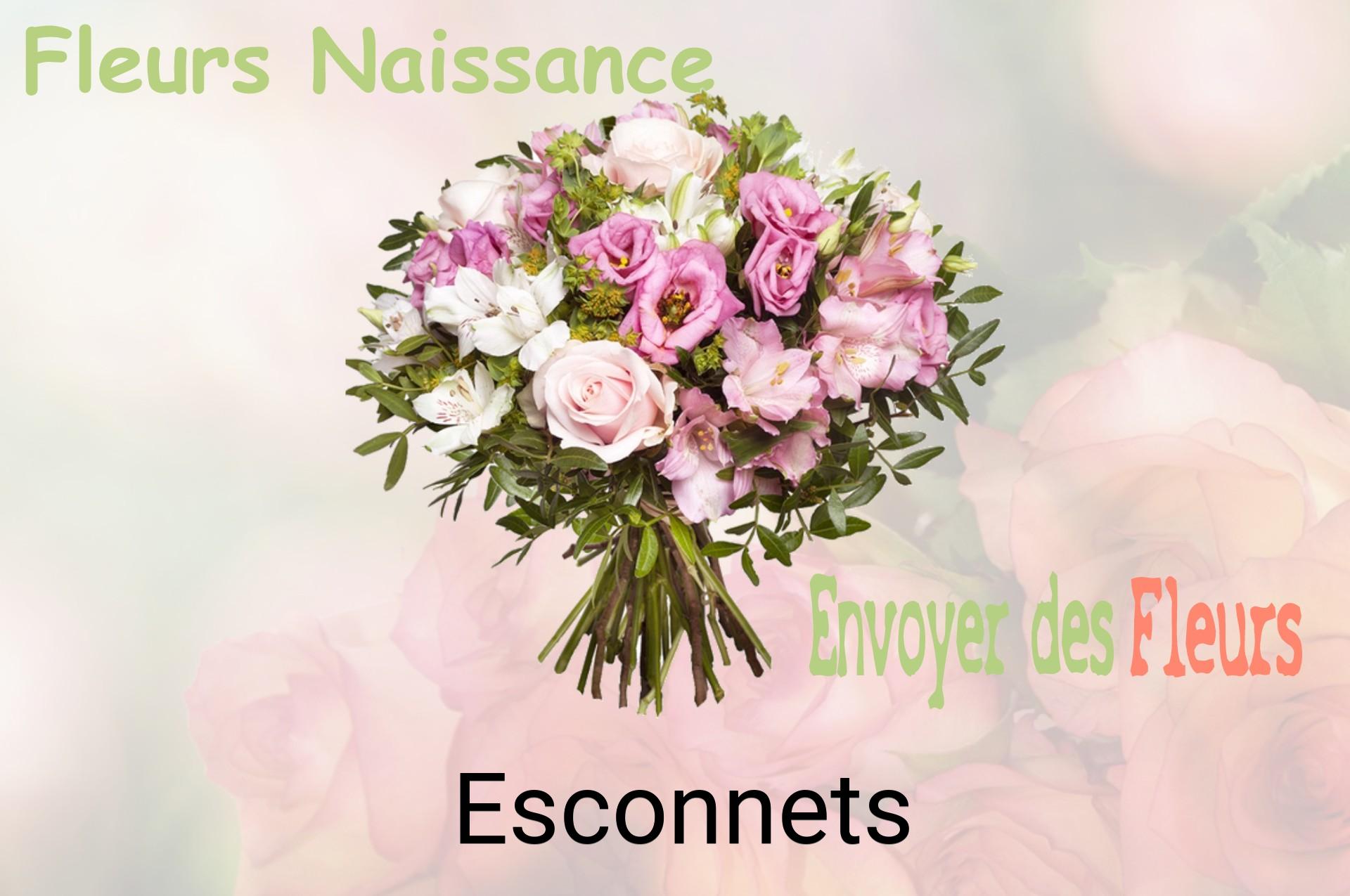 Bouquet de fleurs de naissance livré à Esconnets