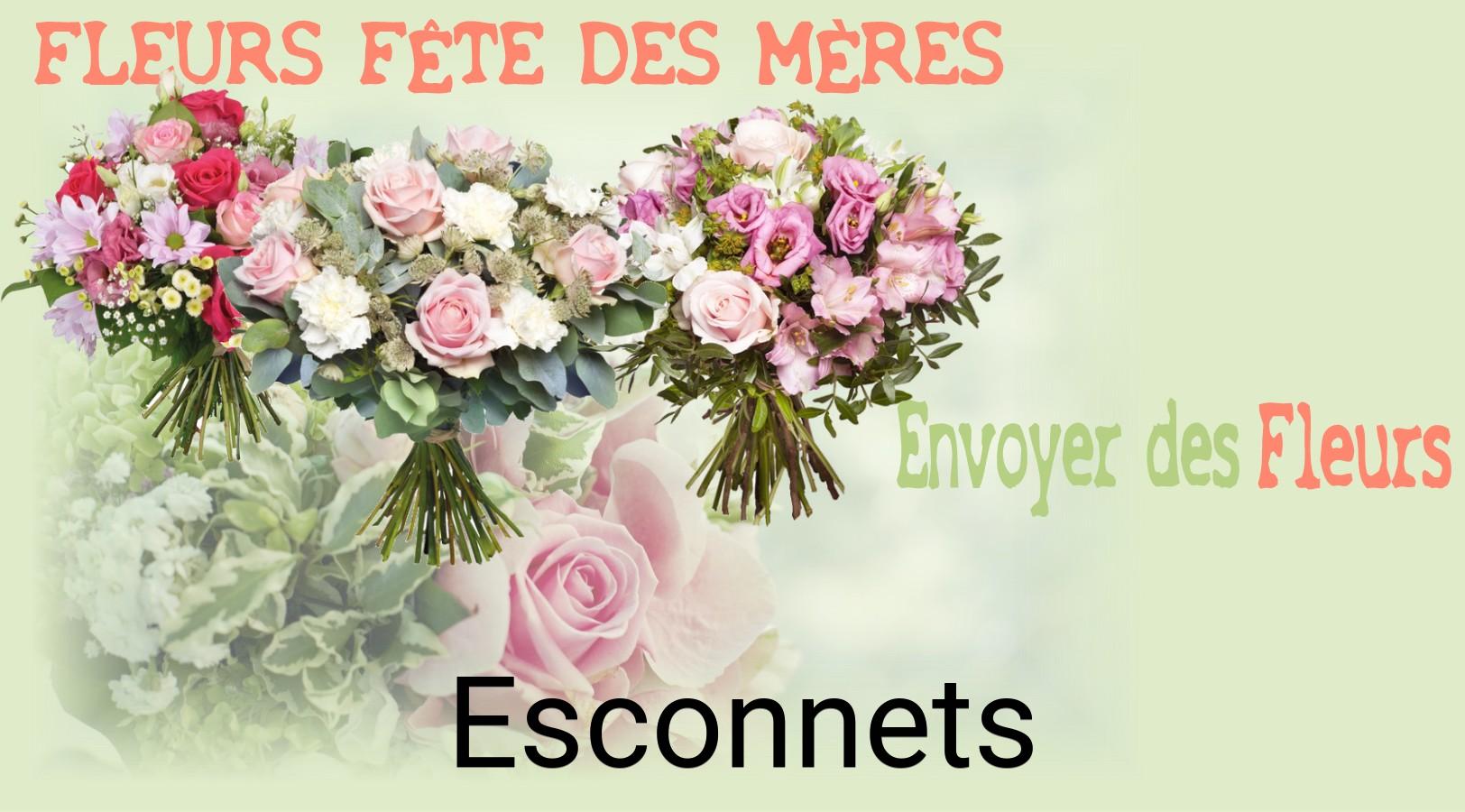 Bouquet de Fête des Mères livré à Esconnets